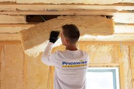 Eco-Friendly or Green Insulation Solutions in Issaquah, WA